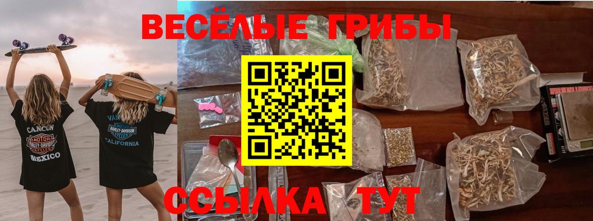 Псилоцибиновые грибы мицелий Сертолово